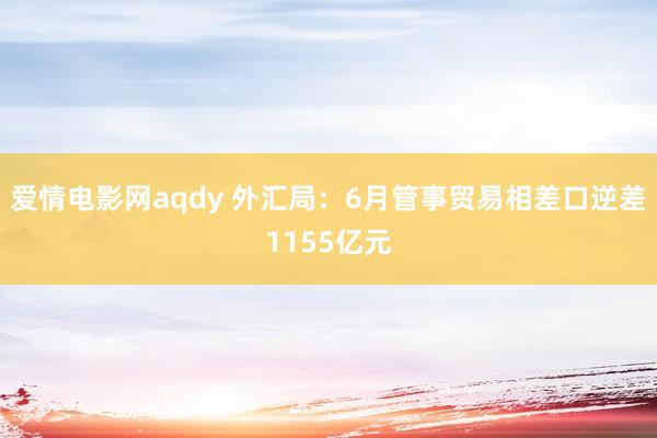 爱情电影网aqdy 外汇局：6月管事贸易相差口逆差1155亿元