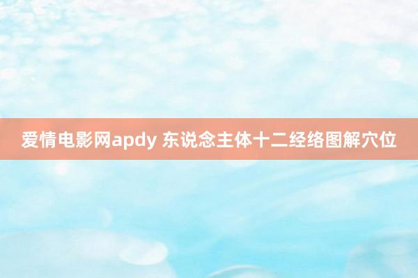 爱情电影网apdy 东说念主体十二经络图解穴位