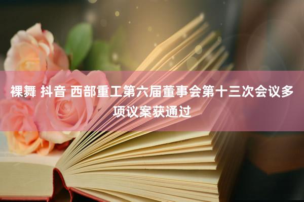 裸舞 抖音 西部重工第六届董事会第十三次会议多项议案获通过