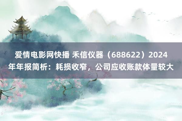 爱情电影网快播 禾信仪器（688622）2024年年报简析：耗损收窄，公司应收账款体量较大