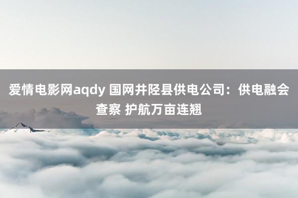 爱情电影网aqdy 国网井陉县供电公司：供电融会查察 护航万亩连翘