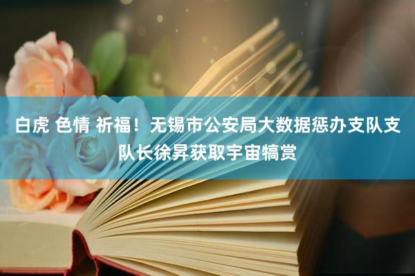 白虎 色情 祈福！无锡市公安局大数据惩办支队支队长徐昇获取宇宙犒赏