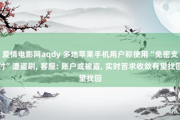 爱情电影网aqdy 多地苹果手机用户称使用“免密支付”遭盗刷， 客服: 账户或被盗， 实时苦求收敛有望找回