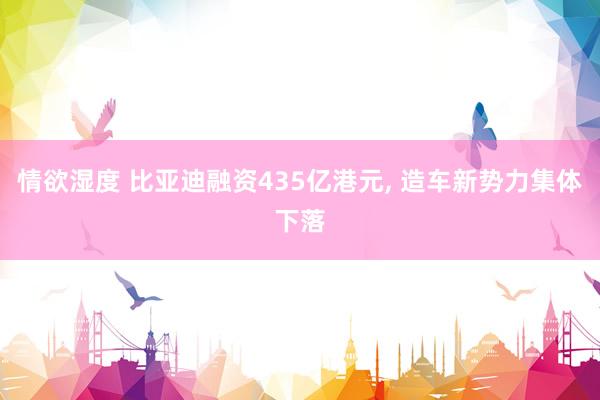 情欲湿度 比亚迪融资435亿港元， 造车新势力集体下落