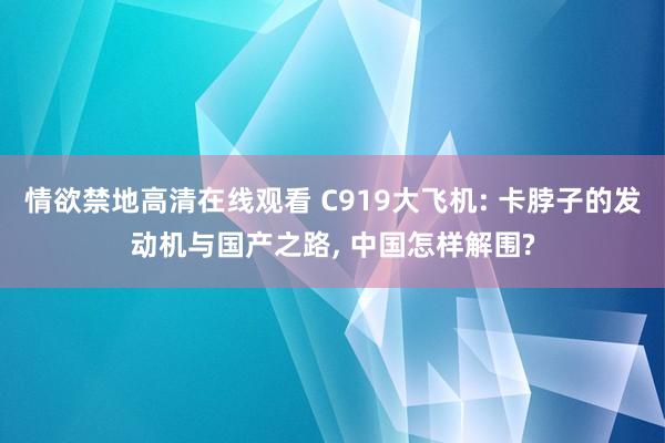 情欲禁地高清在线观看 C919大飞机: 卡脖子的发动机与国产之路， 中国怎样解围?