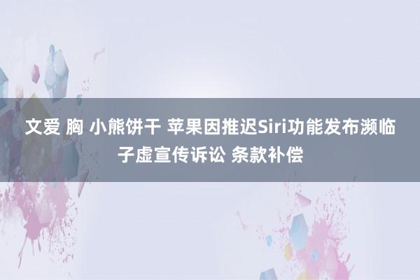 文爱 胸 小熊饼干 苹果因推迟Siri功能发布濒临子虚宣传诉讼 条款补偿