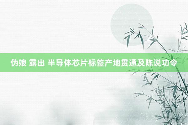 伪娘 露出 半导体芯片标签产地贯通及陈说功令