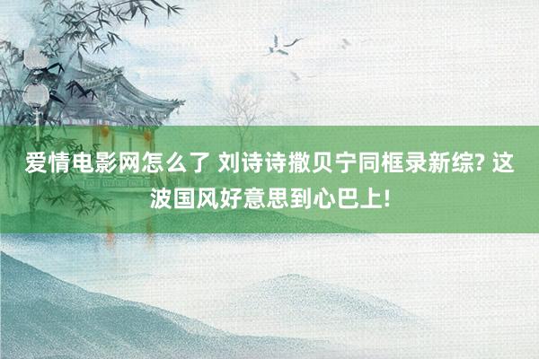 爱情电影网怎么了 刘诗诗撒贝宁同框录新综? 这波国风好意思到心巴上!