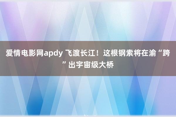 爱情电影网apdy 飞渡长江！这根钢索将在渝“跨”出宇宙级大桥