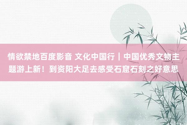 情欲禁地百度影音 文化中国行｜中国优秀文物主题游上新！到资阳大足去感受石窟石刻之好意思