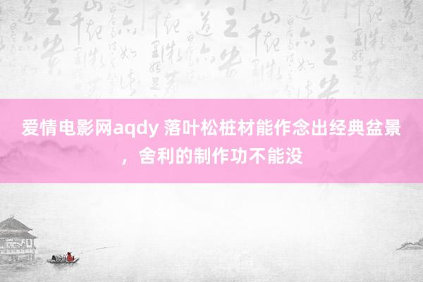 爱情电影网aqdy 落叶松桩材能作念出经典盆景，舍利的制作功不能没