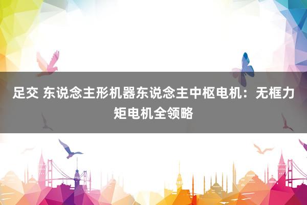 足交 东说念主形机器东说念主中枢电机:无框力矩电机全领略