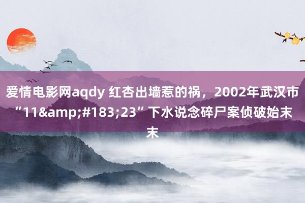 爱情电影网aqdy 红杏出墙惹的祸，2002年武汉市“11&#183;23”下水说念碎尸案侦破始末