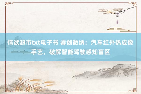 情欲超市txt电子书 睿创微纳：汽车红外热成像手艺，破解智能驾驶感知盲区