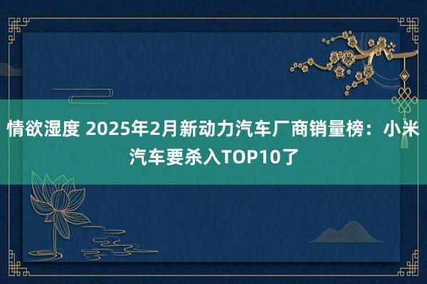 情欲湿度 2025年2月新动力汽车厂商销量榜：小米汽车要杀入TOP10了